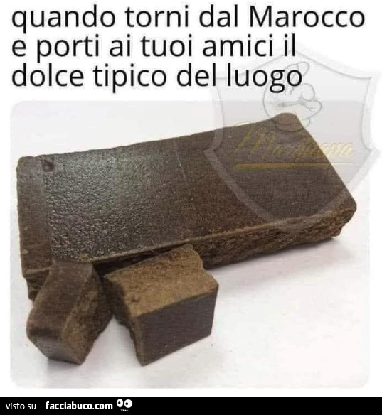 Vaccata