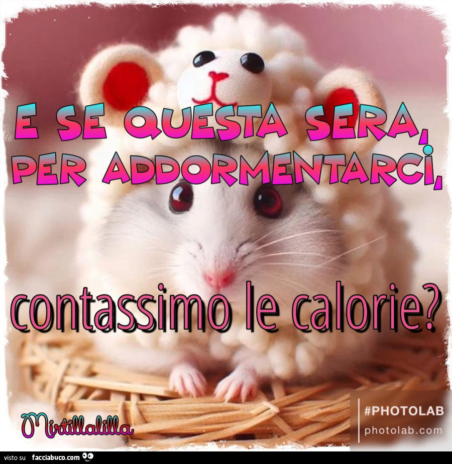 Contiamo le calorie