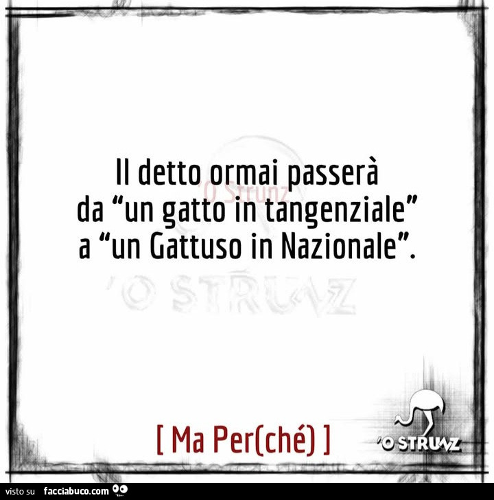 Il detto ormai passerà da l'un gatto in tangenziale a un gattuso in nazionale