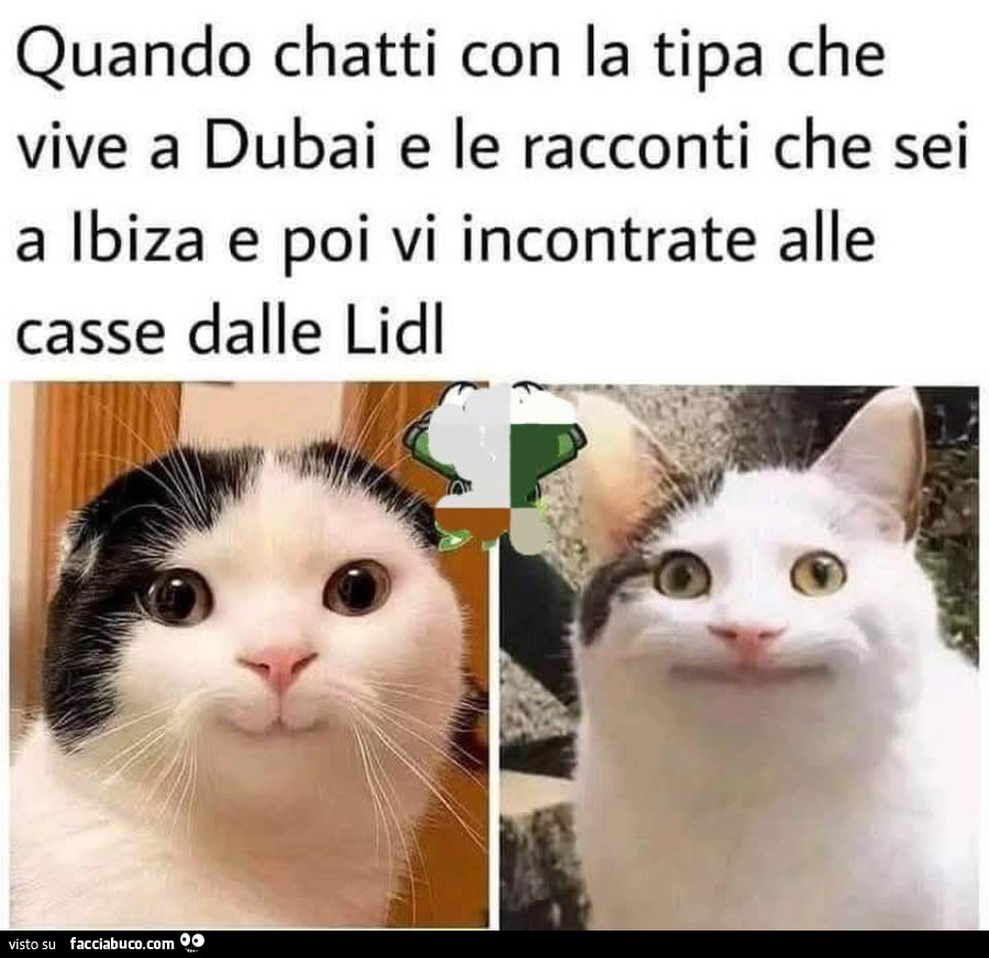 Vaccata