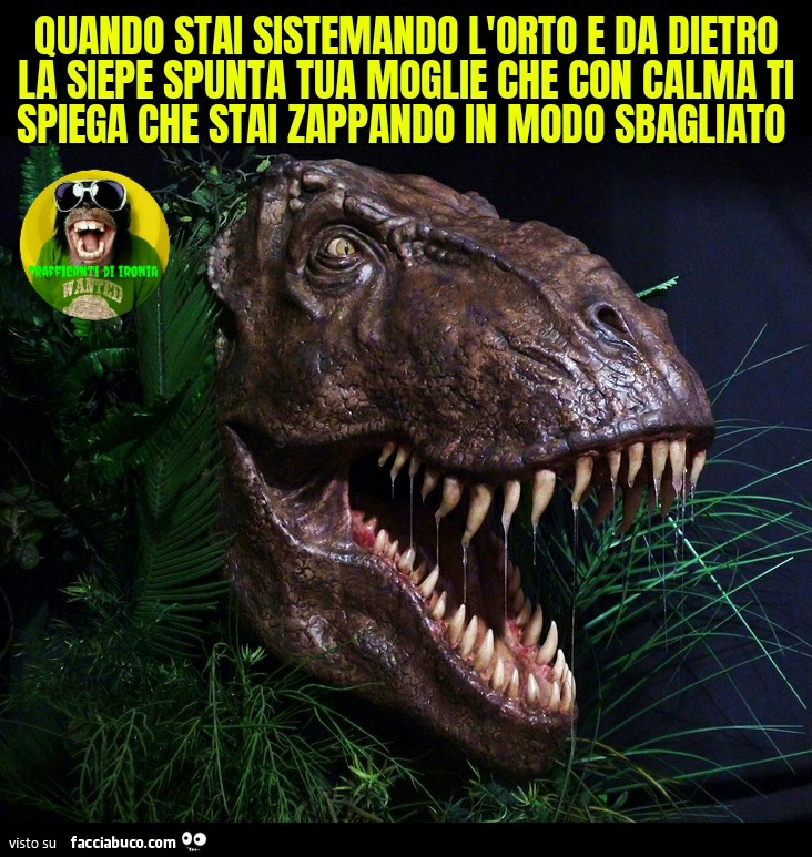 Quando stai sistemando l'orto e da dietro la siepe spunta tua moglie che con calma ti spiega