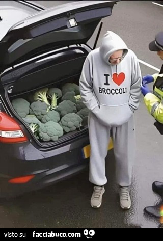 Nuovo Codice della strada. Limitazioni sul consumo di broccoli