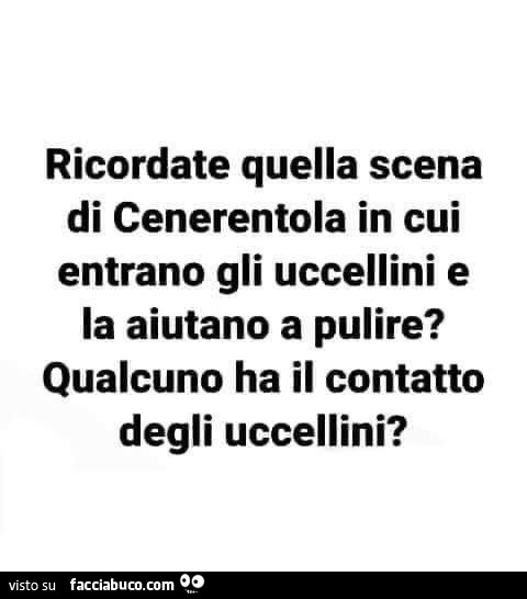 Ricordate quella scena di Cenerentola in cui entrano gli uccellini e la aiutano a pulire? Qualcuno ha il contatto degli uccellini?