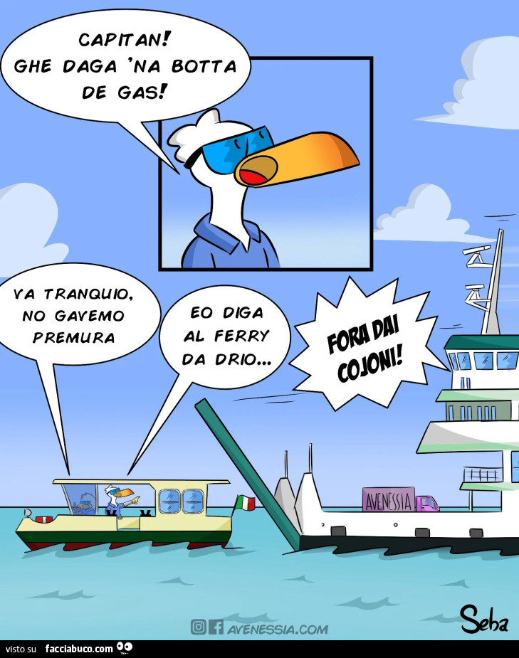 Vaccata