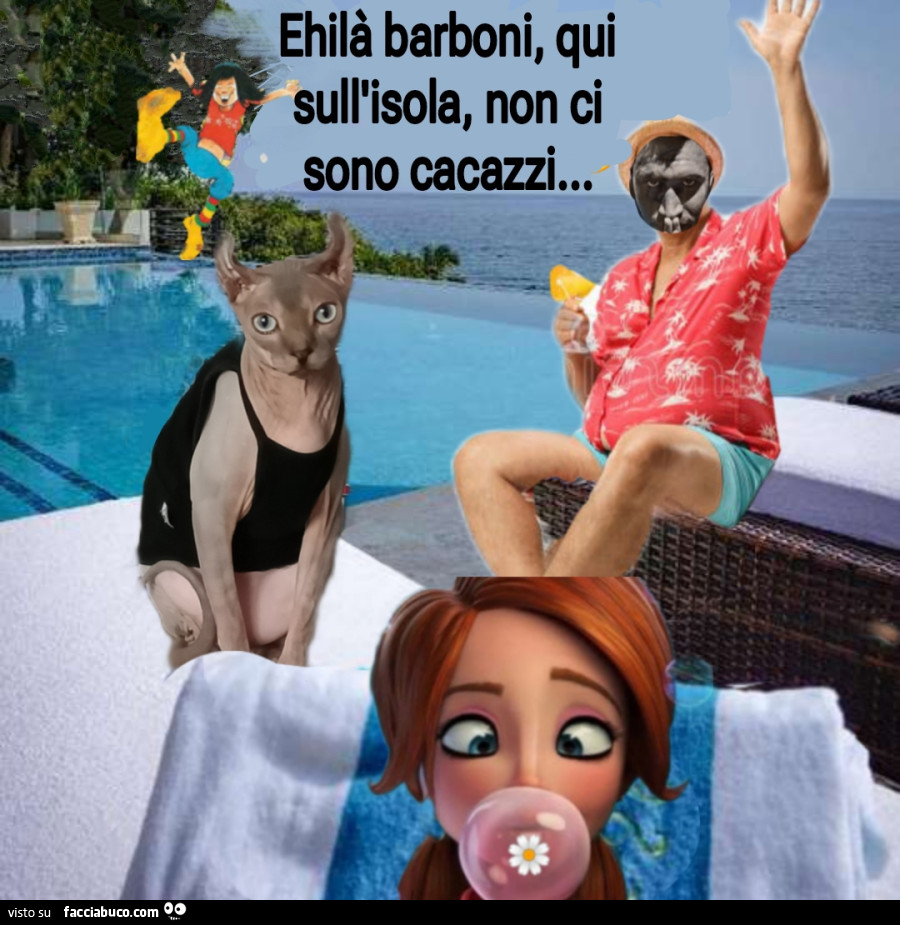 Vaccata