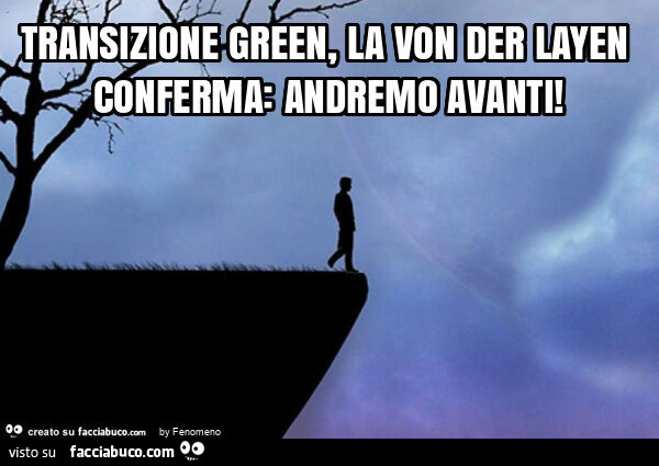 Transizione green, la von der layen conferma: andremo avanti