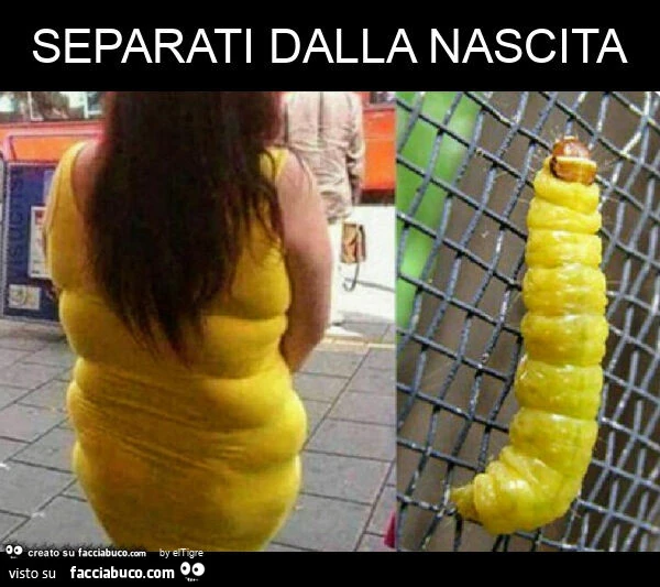 Separati dalla nascita