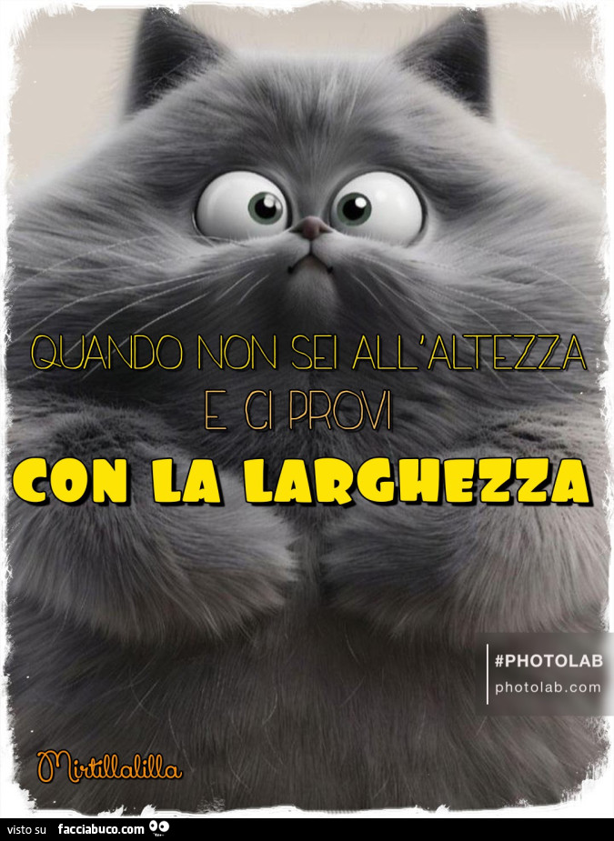 La larghezza