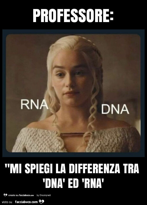 Professore: "mi spiegi la differenza tra 'dnà ed 'rnà