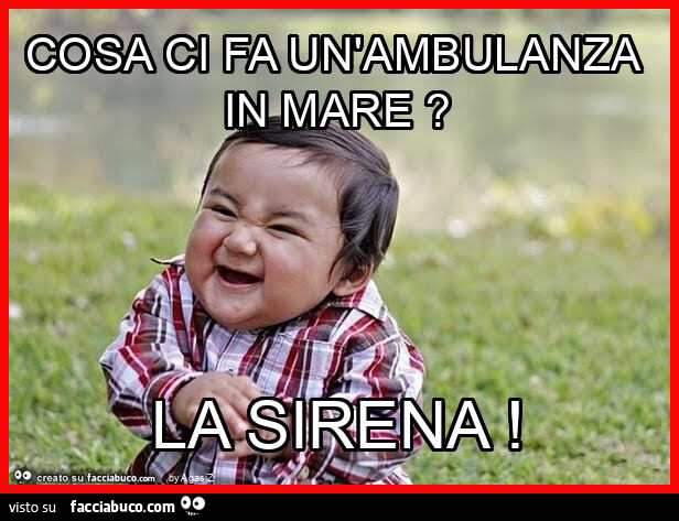 Cosa ci fa un'ambulanza in mare? La sirena
