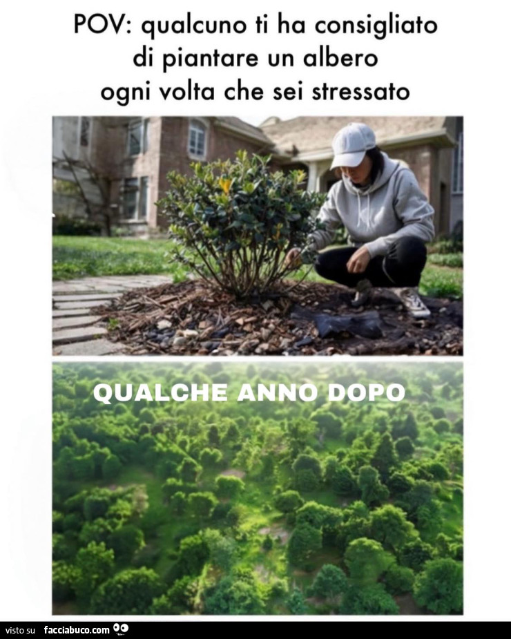Vaccata