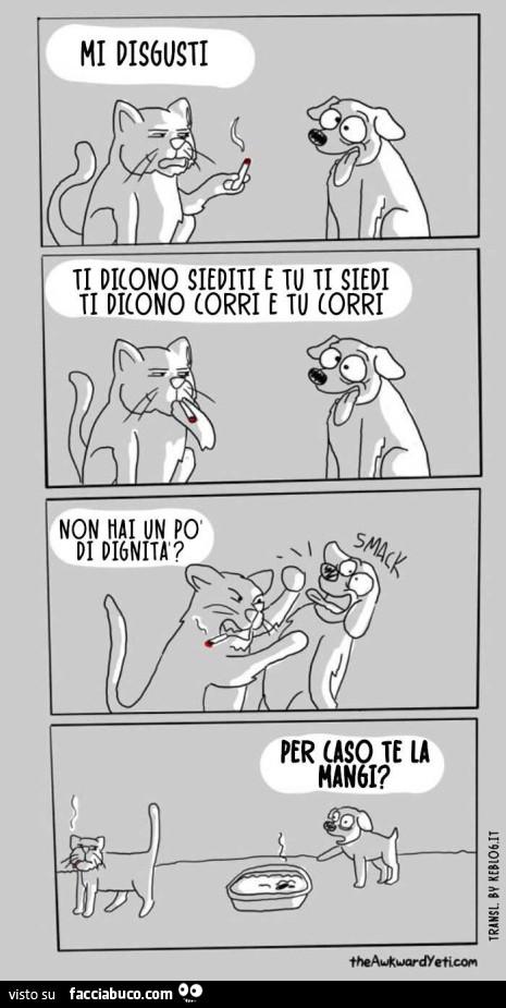 Vignette ironiche sulla differenza tra Cani e Gatti
