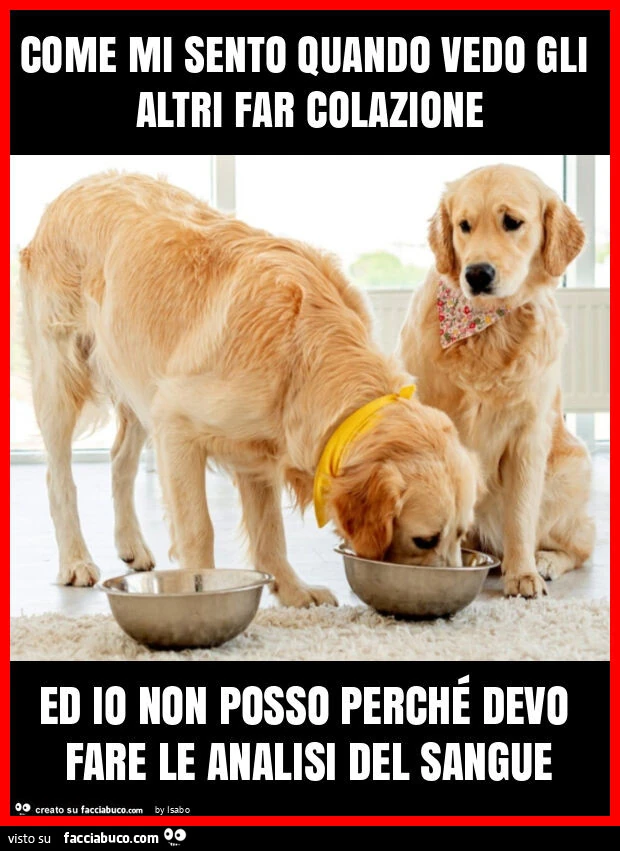 Come mi sento quando vedo gli altri far colazione ed io non posso perché devo fare le analisi del sangue