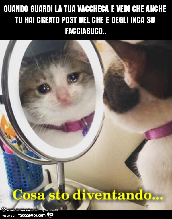 Quando guardi la tua vaccheca e vedi che anche tu hai creato post del che e degli inca su facciabuco