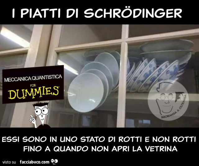 I piatti di Schrödinger