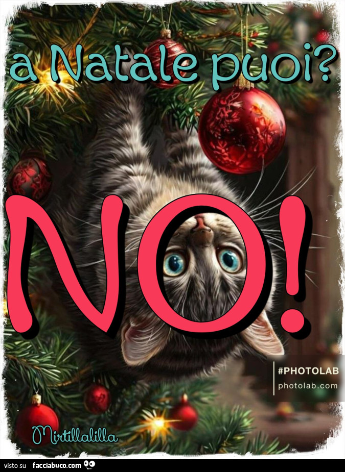 A Natale puoi