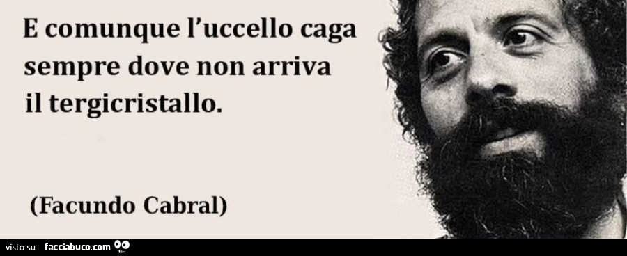 E comunque l'uccello caga sempre dove non arriva il tergicristallo facundo cabral