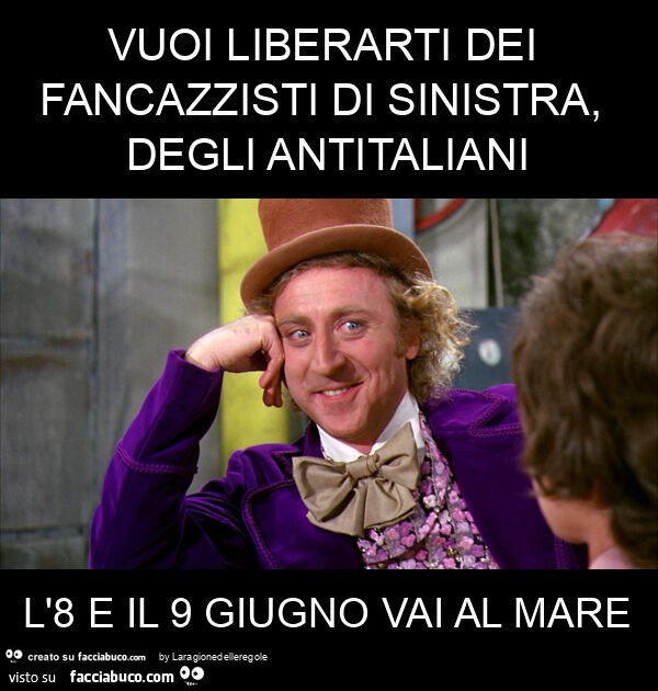 Vuoi liberarti dei fancazzisti di sinistra, degli antitaliani l'8 e il 9 giugno vai al mare