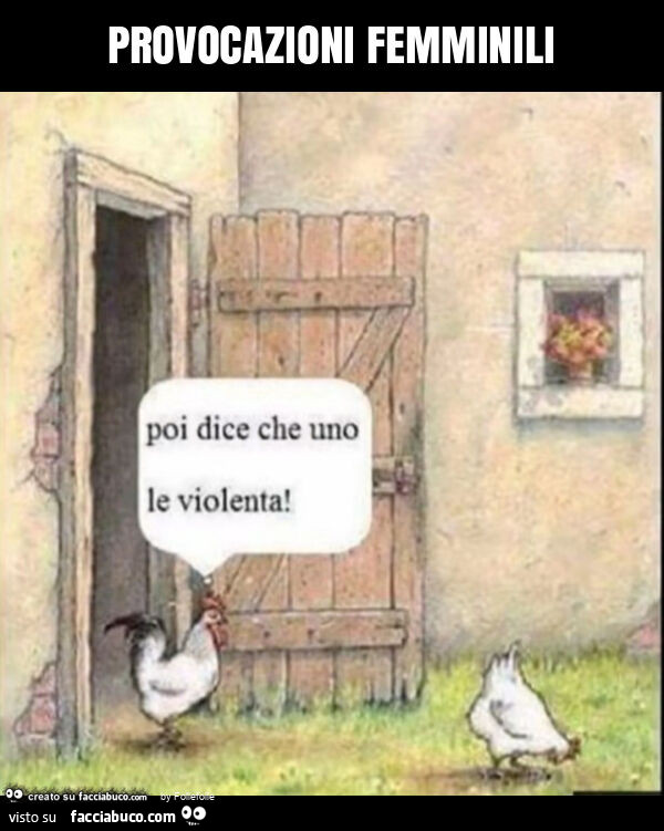 Provocazioni femminili
