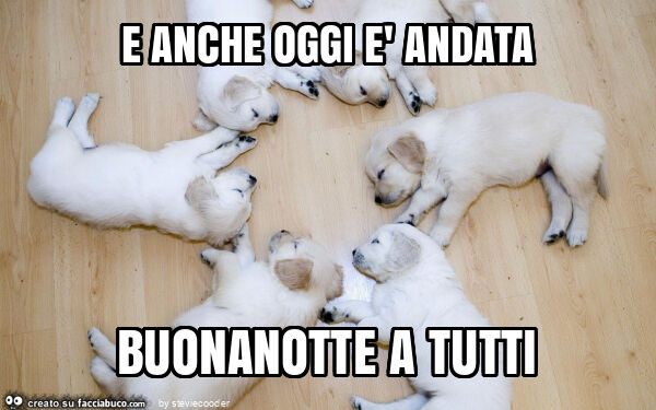 E anche oggi è andata buonanotte a tutti