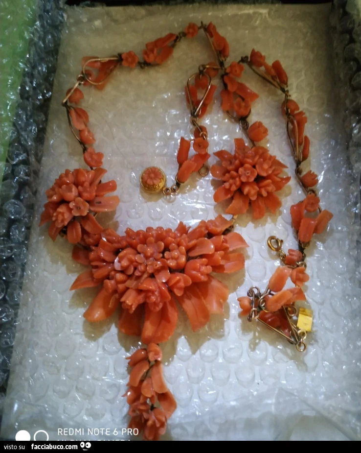 Vaccata