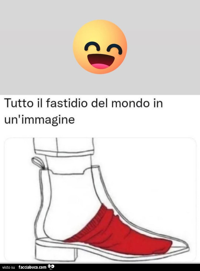Tutto il fastidio del mondo in un'immagine