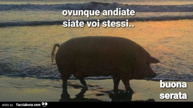 Porco