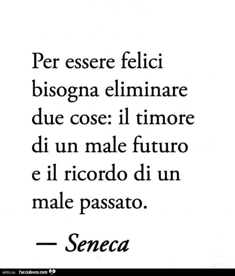 Per essere felici bisogna eliminare due cose: il timore di un male futuro e il ricordo di un male passato. Seneca