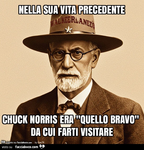 Nella sua vita precedente chuck norris era "quello bravo" da cui farti visitare