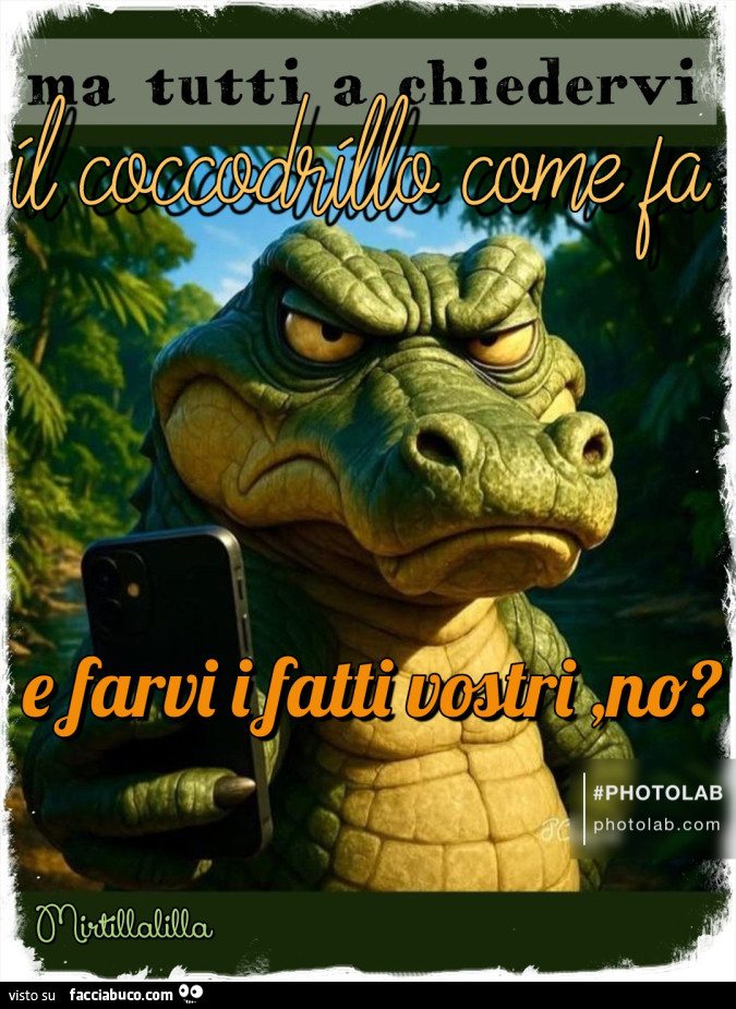 Il coccodrillo come fa