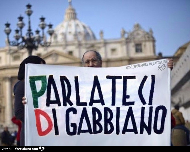 Parlateci di gabbiano