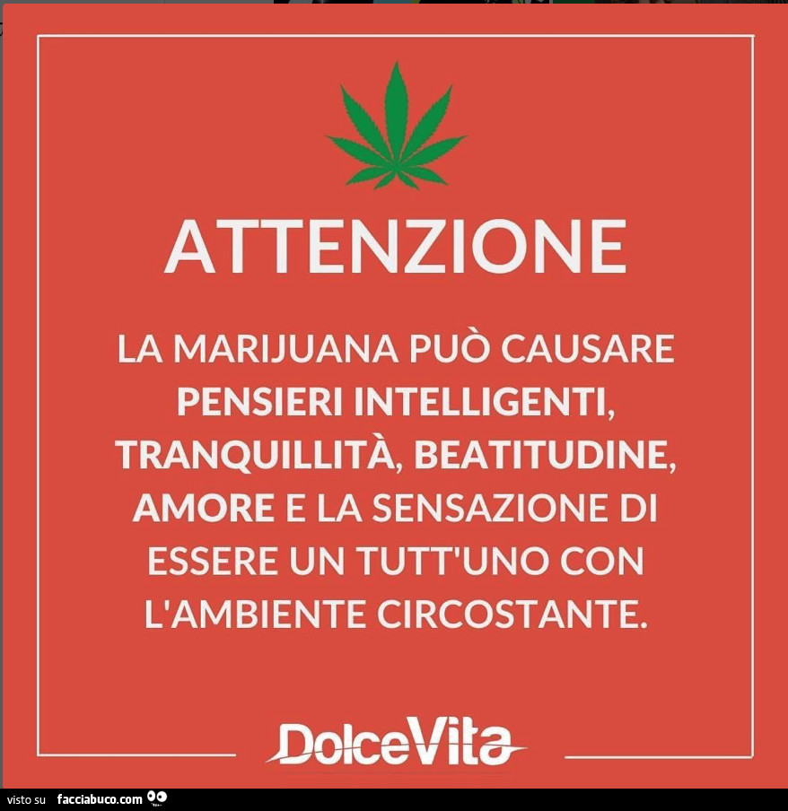 Attenzione la marijuana può causare pensieri intelligenti, tranquillità, beatitudine, amore e la sensazione di essere un tutt'uno con l'ambiente circostante