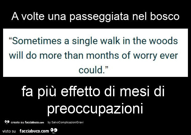A volte una passeggiata nel bosco fa più effetto di mesi di preoccupazioni