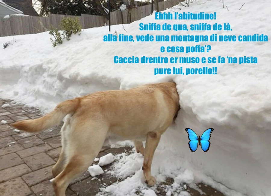 Sniff sniff che la curiositร deve essere saziata! ๐คฃ๐คฃ๐คฃ๐คฃ