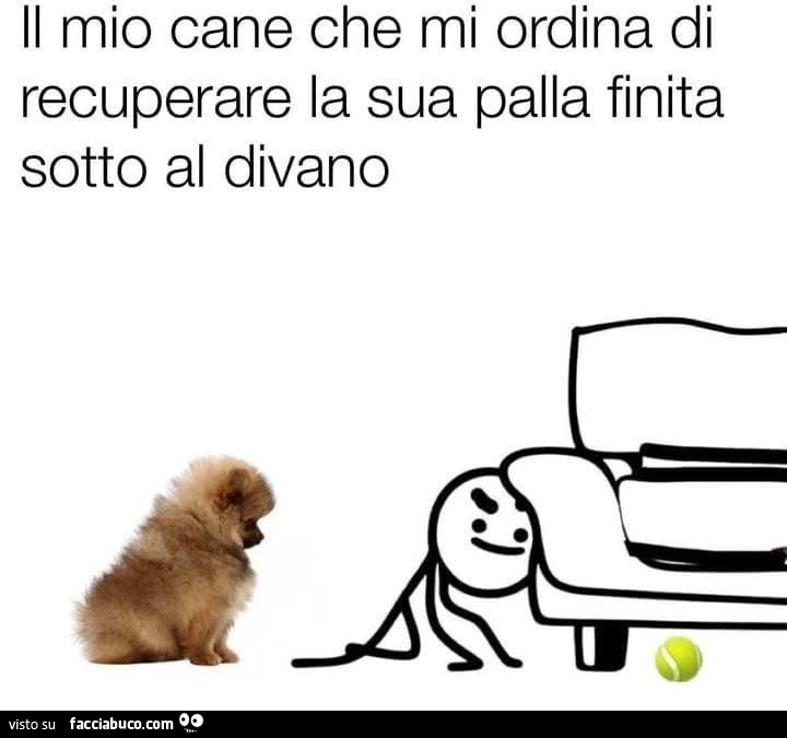 Il mio cane che mi ordina di recuperare la sua palla finita sotto al divano