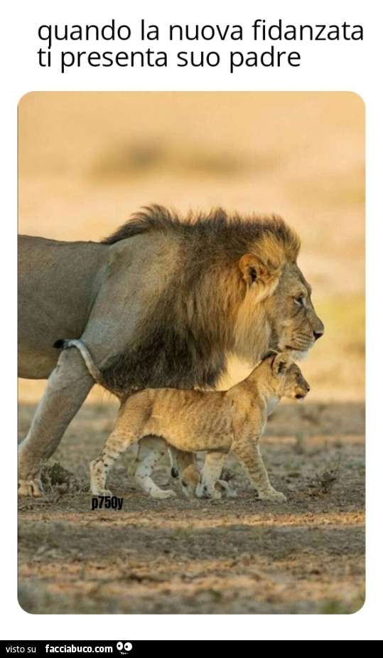 Leone fidanzata quando papà padre