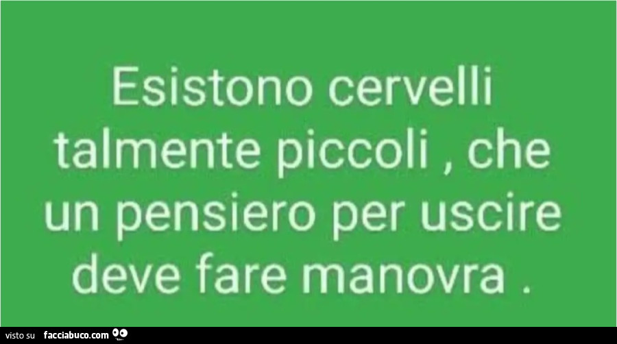 Esistono cervelli talmente piccoli, che un pensiero per uscire deve fare manovra