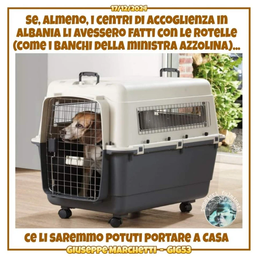 Governo centri migranti Albania canile