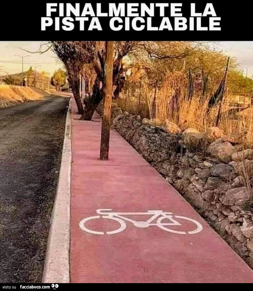 Bici