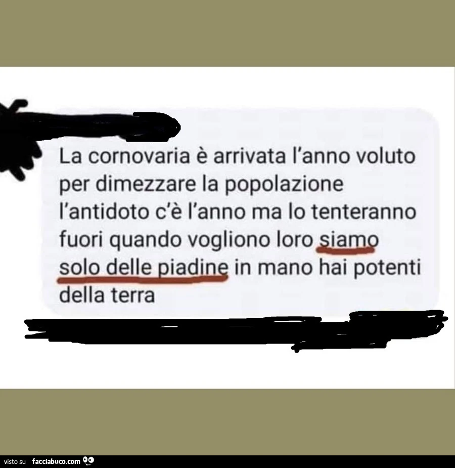 Vaccata