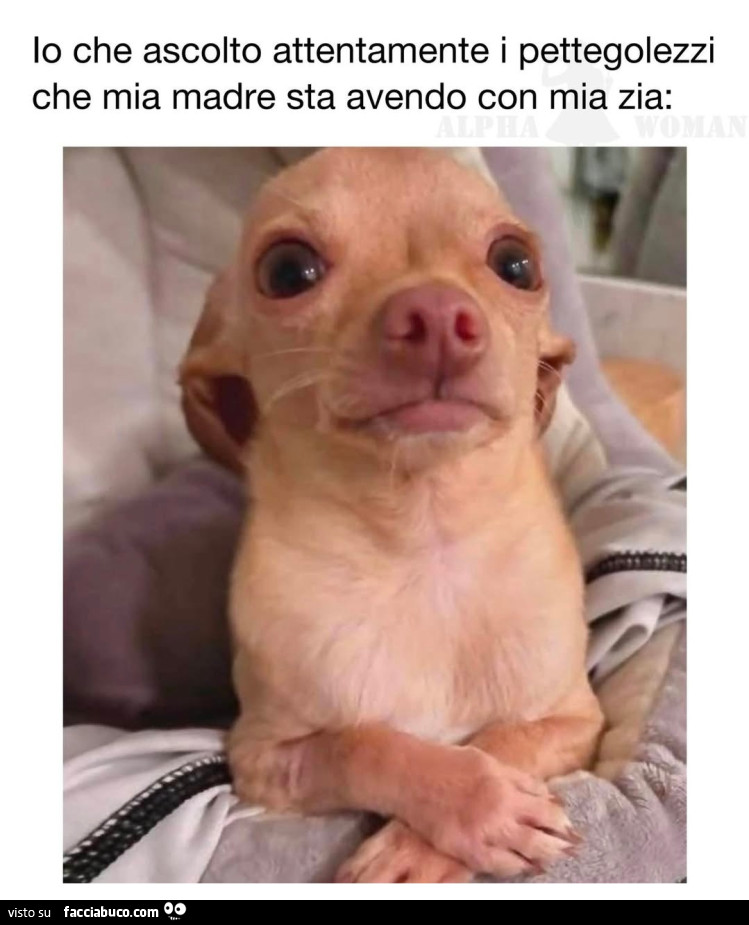 Vaccata