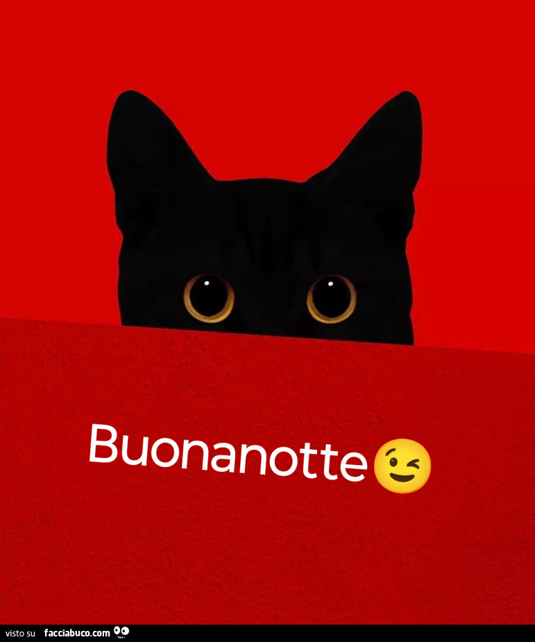 Gatto nero buonanotte