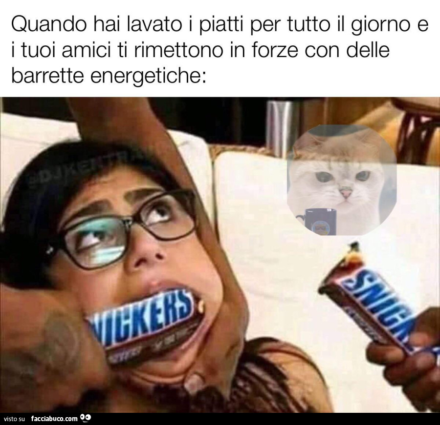 Vaccata