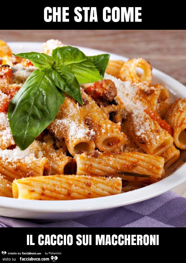 Che sta come il caccio sui maccheroni