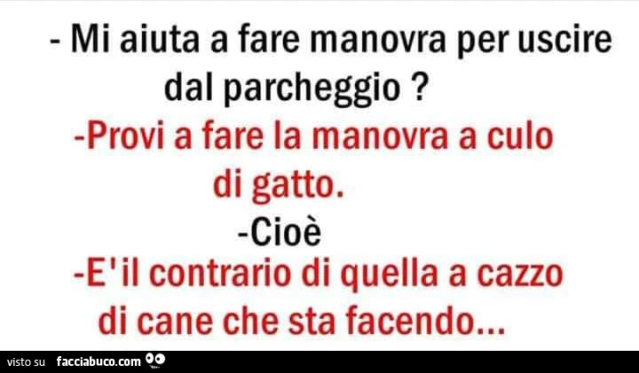 Mi aiuta a fare manovra per uscire dal parcheggio? Provi a fare la manovra a culo di gatto. Cioè. È Il contrario di quella a cazzo di cane che sta facendo&hellip;