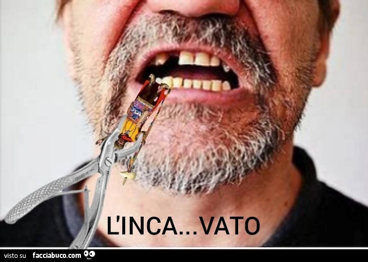 Vaccata