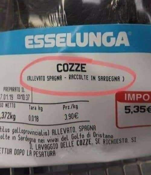 Vaccata