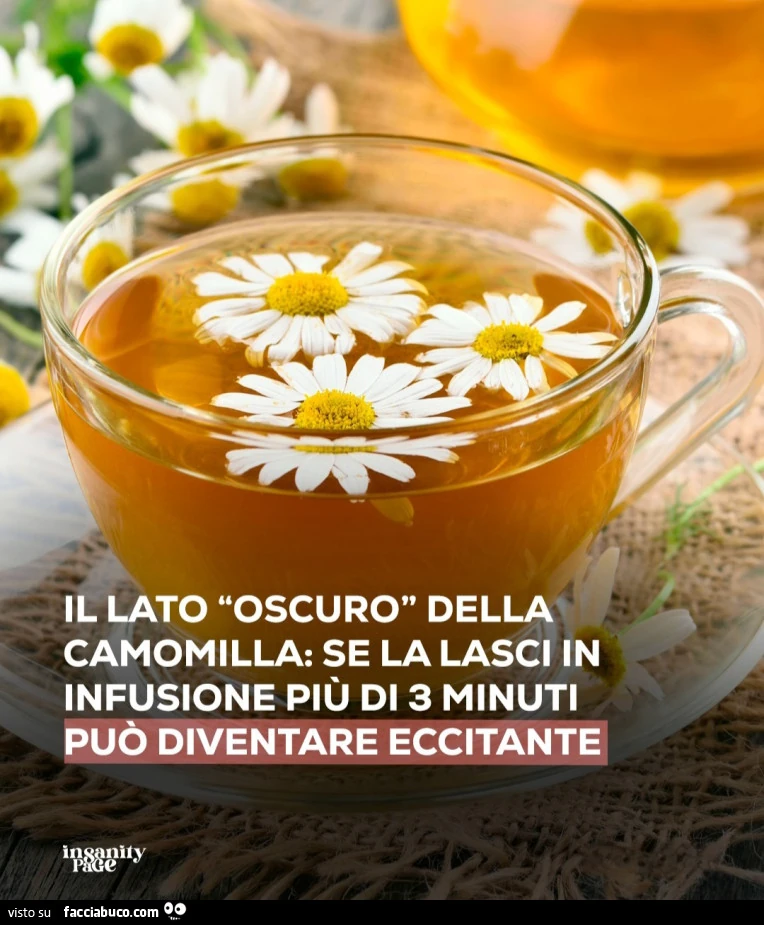 Il lato oscuro della camomilla se la lasci in infusione più di 3 minuti può diventare eccitante