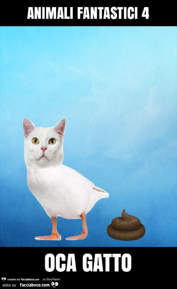 Animali fantastici 4 oca gatto