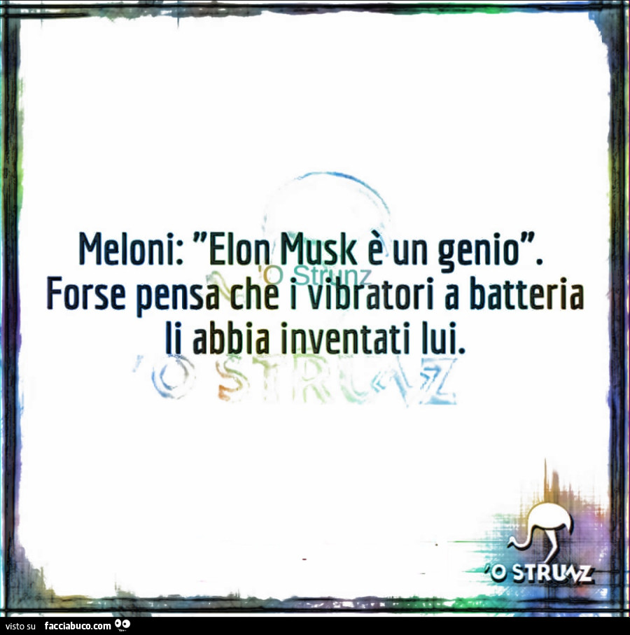 Meloni: Elon Musk è un genio. Forse pensa che i vibratori a batteria li abbia inventati lui